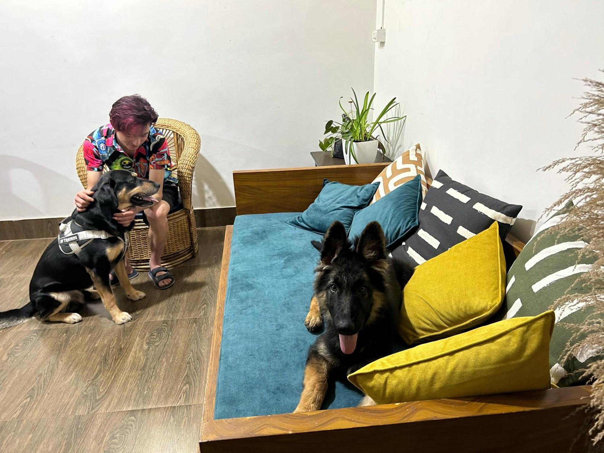 House Of Nomad Hostel Gangtok Ngoại thất bức ảnh