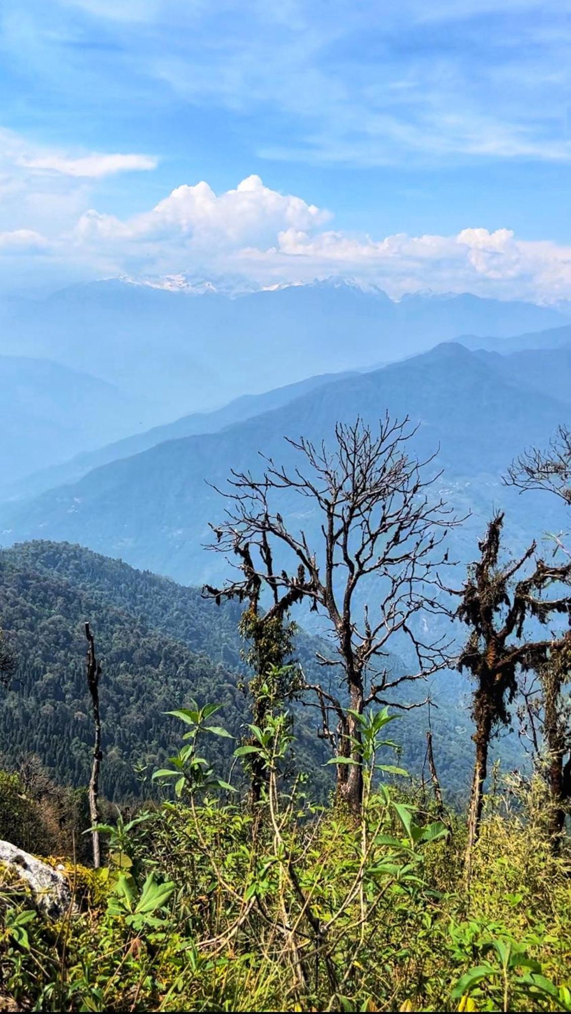 House Of Nomad Hostel Gangtok Ngoại thất bức ảnh